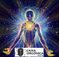 energia vital caixa orgonica